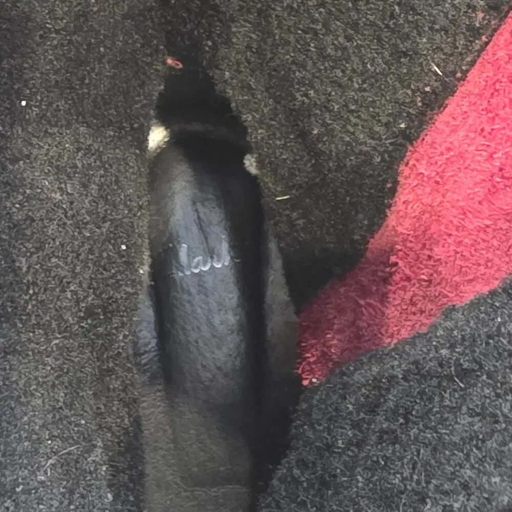 Clarks Majorca Isla mid calf leather slouch, zip burgundy boots sz 9.5 - Picture 9 of 11